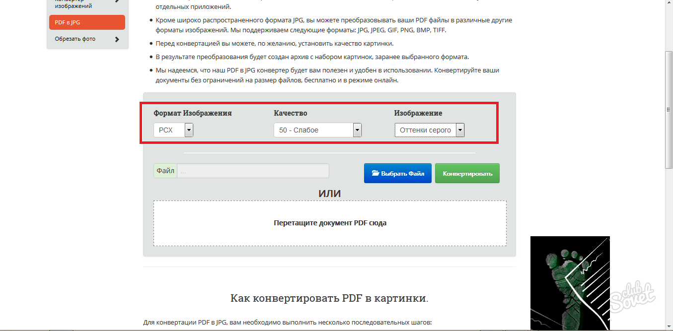 Pdf картинки перевод на русский. Перевод pdf в изображение. Перевести файлы пдф в jpg. Конвертировать файл в джипег.