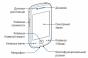 Samsung Galaxy Gio - Spécifications Informations sur la marque, le modèle et les autres noms d'un appareil spécifique, le cas échéant