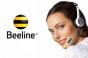 Comment contacter le service d'assistance Beeline